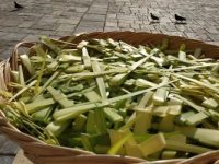 Η Βάγια, ένα έθιμο του βορείου&nbsp;Έβρου