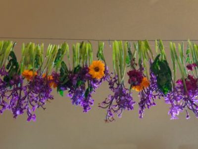 Ανθίζουν τα θαύματα στο μικρό Μαρμακέτο&nbsp;Λασιθίου!