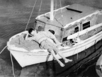Ναυτάκι του περιβολιού (Οδυσσέας&nbsp;Ελύτης)