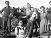 Αμπέλι μου πλατύφυλλο