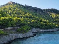 Το νανούρισμα του&nbsp;πεύκου