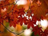 Καλό μήνα Οκτώβριο!