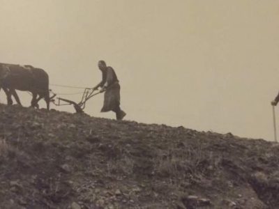 Ο προπαππούς μου ο παπα-Μιχάλης, ο&nbsp;Ζευγάς