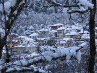 Πορτρέτο του Δεκέμβρη