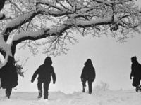 Σαν απαλές νιφάδες