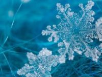 Το αστεράκι