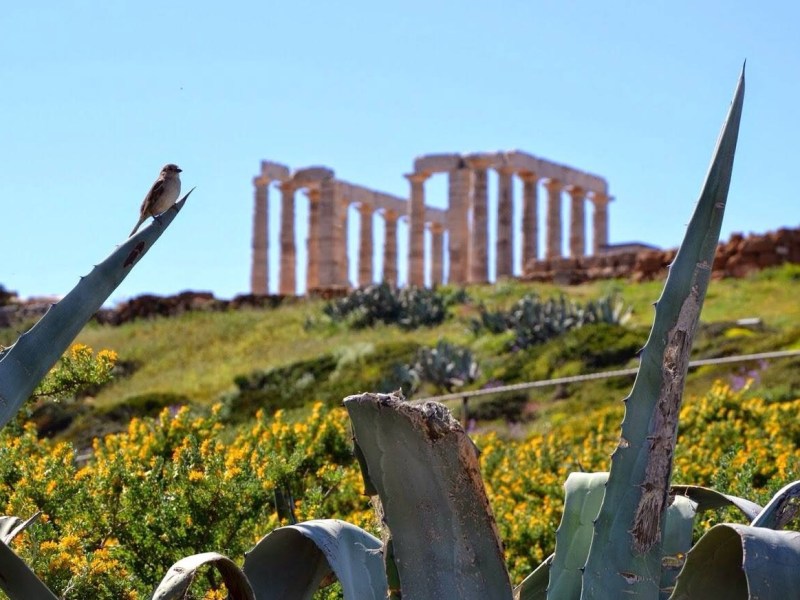 Επί Ασπαλάθων…