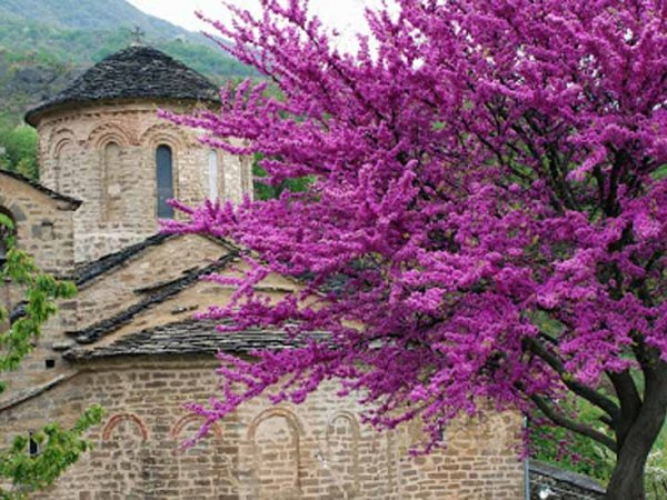 Μέρες του μωβ..