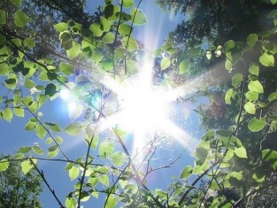 Ο ευχαριστιακός τρόπος ζωής και ο ρόλος του ανθρώπου στη&nbsp;δημιουργία