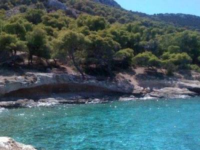 Τα τζιτζίκια (Οδυσσέας&nbsp;Ελύτης)