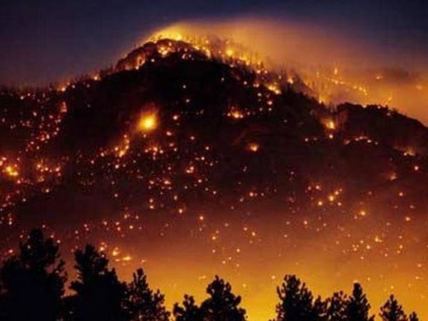 In nature nothing exists&nbsp;alone