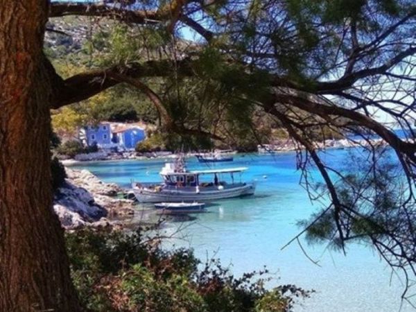 Το νανούρισμα του&nbsp;πεύκου