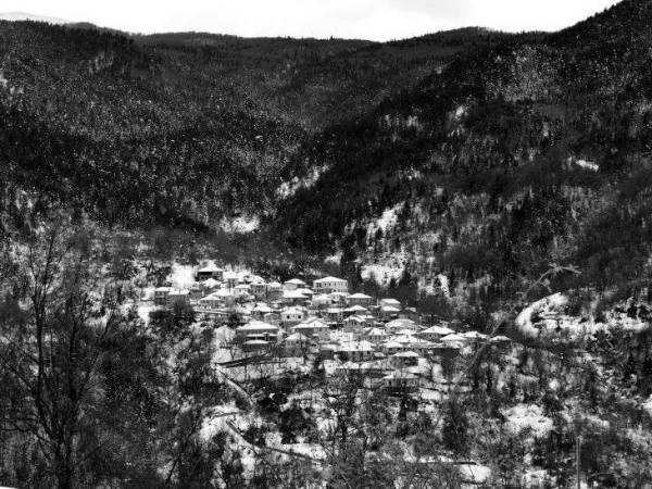 Άνθη της πέτρας (Γιώργος&nbsp;Σεφέρης)