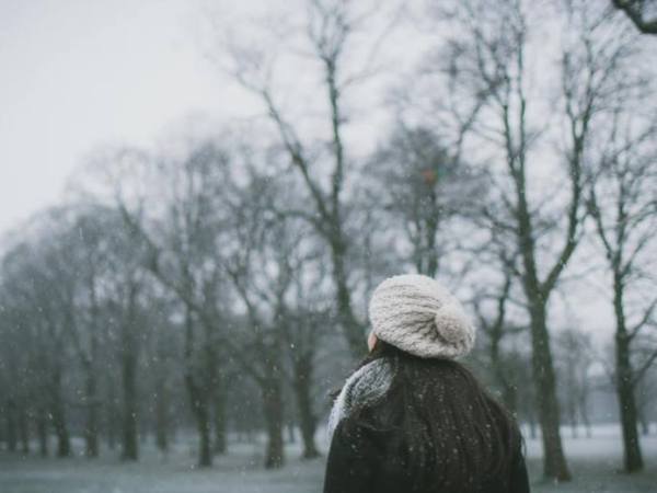 Ασημοπράσινο δάσος