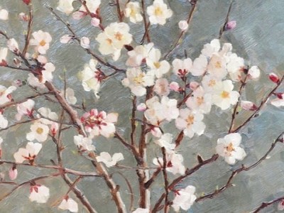 Λίγο ακόμα θα ιδούμε τις αμυγδαλιές να&nbsp;ανθίζουν