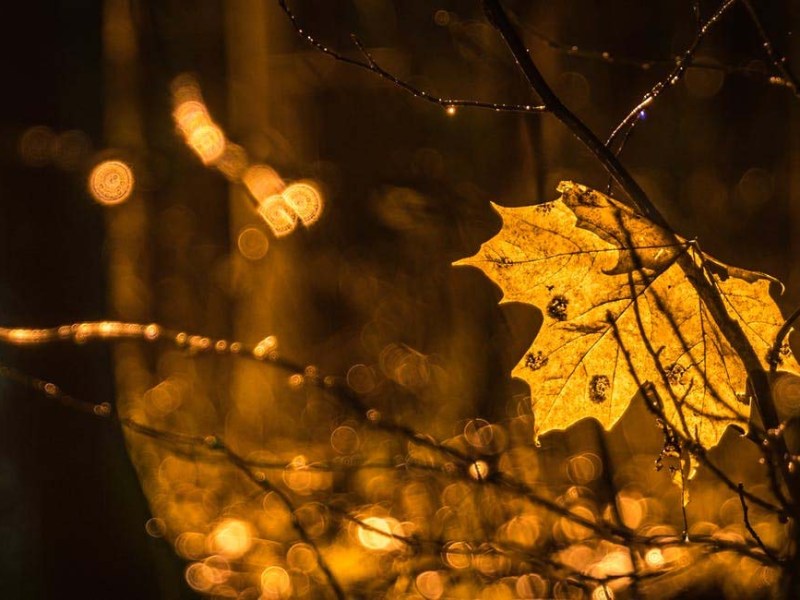 Φθινοπωρινή ισημερία