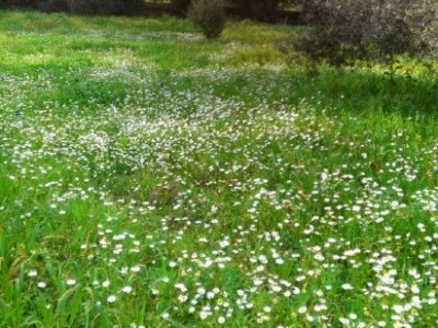 Από την κοσμική ευτυχία βγαίνει το κοσμικό&nbsp;άγχος…