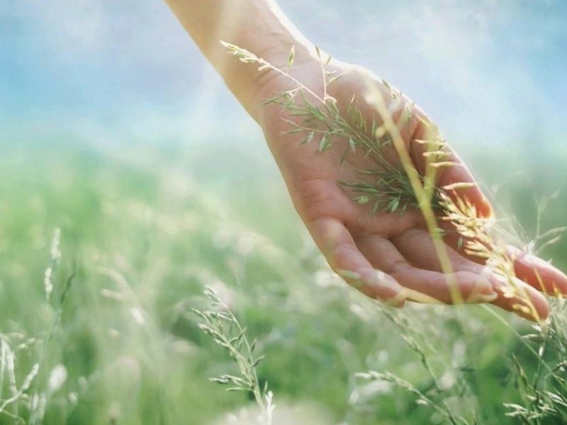 Να μην κρατάς κακία, να έχεις&nbsp;απλότητα…