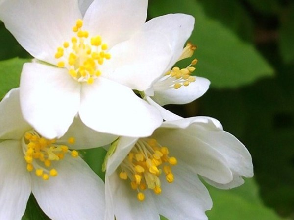 Να εκτιμάς τους ανθρώπους που σου στάθηκαν στα&nbsp;δύσκολα