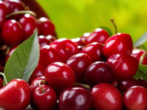 Κεράσια …μικροί θησαυροί για την υγεία&nbsp;μας!