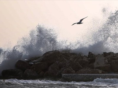 Ερωτικό κάλεσμα (Μενέλαος&nbsp;Λουντέμης)