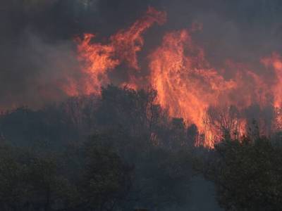 Ύβρις φυτεύει τύραννον…