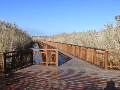 Πάτρα: Το ξύλινο μονοπάτι στο Έλος Αγυιάς&nbsp;(video)