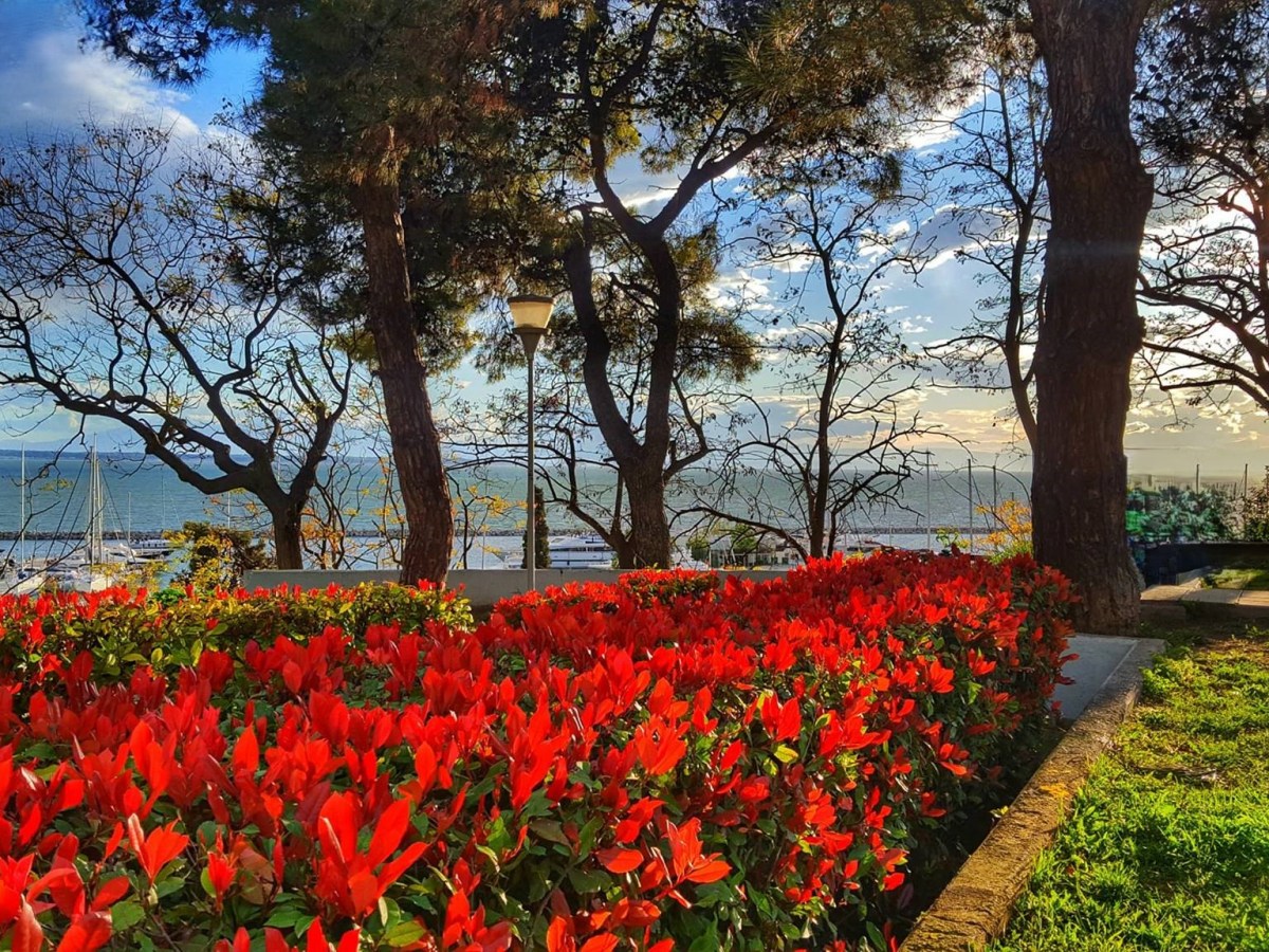 Ο Μάης της&nbsp;Αρετσούς