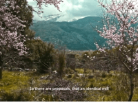 10.000 ανεμόμυλοι από τον Werner Herzog για το Οροπέδιο&nbsp;Λασιθίου