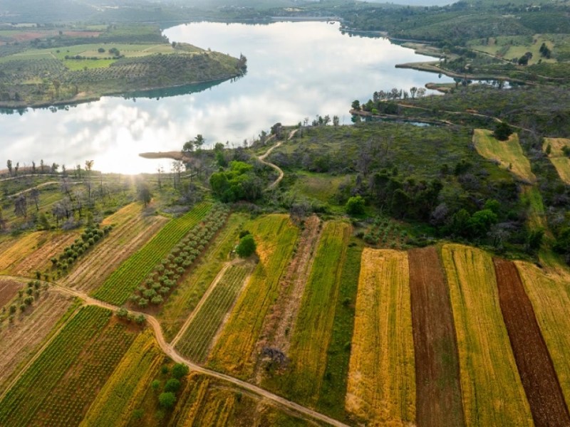 Κάμπος Μαραθώνα: το περιβόλι της&nbsp;Αττικής
