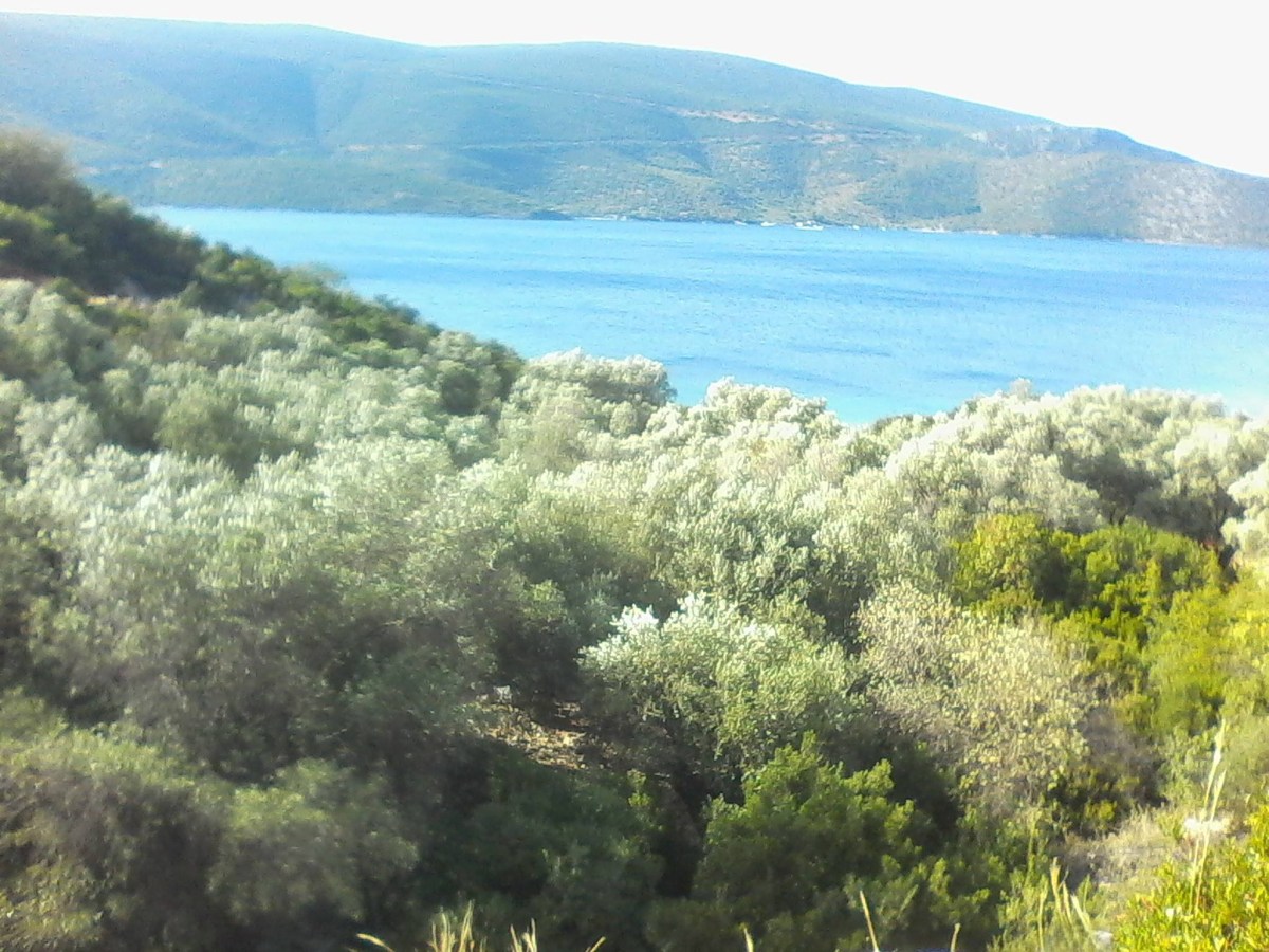 Σκέψεις πάνω στον αληθινό μας Δεκαπενταύγουστο…