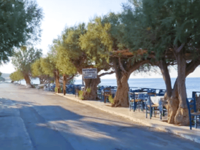 Το πρώτο αλμυρίκι του&nbsp;Κερατοκάμπου